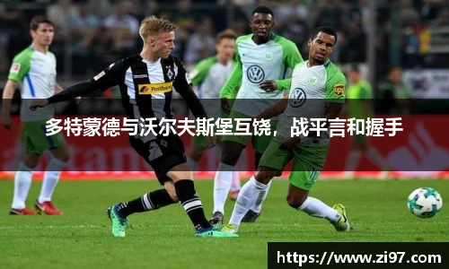 多特蒙德与沃尔夫斯堡互饶，战平言和握手