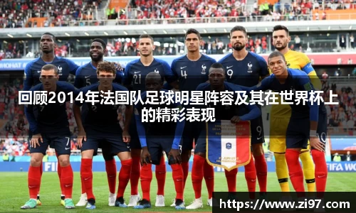 回顾2014年法国队足球明星阵容及其在世界杯上的精彩表现