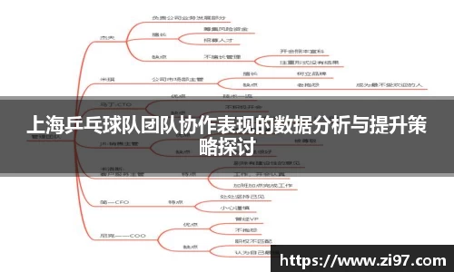 上海乒乓球队团队协作表现的数据分析与提升策略探讨